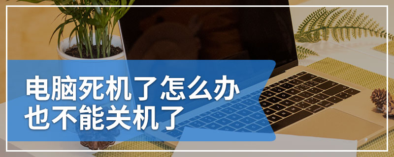 电脑死机了怎么办 也不能关机了