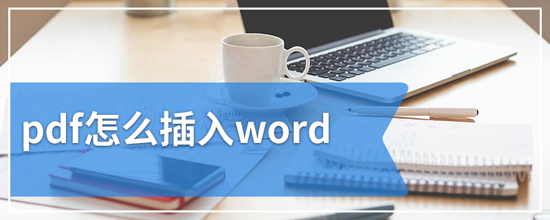 pdf怎么插入word