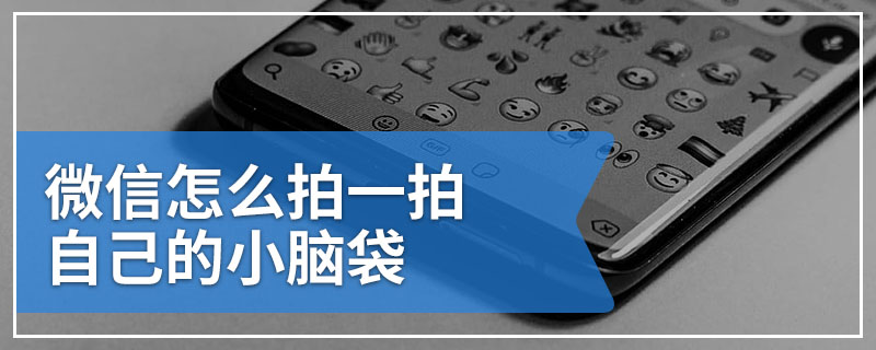 微信怎么拍一拍自己的小脑袋