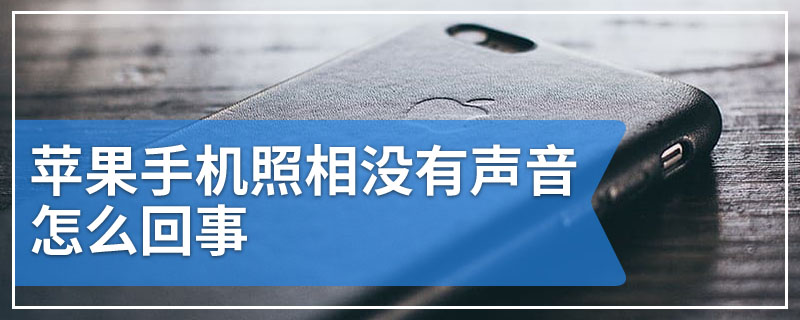 苹果手机照相没有声音怎么回事