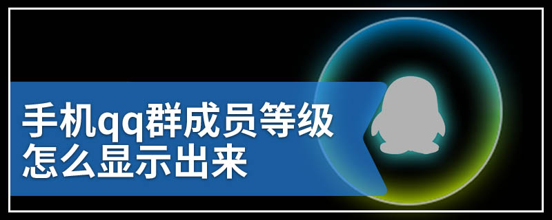 手机qq群成员等级怎么显示出来