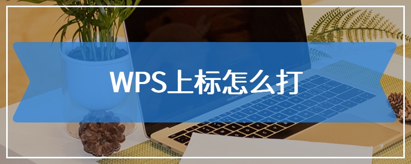 WPS上标怎么打