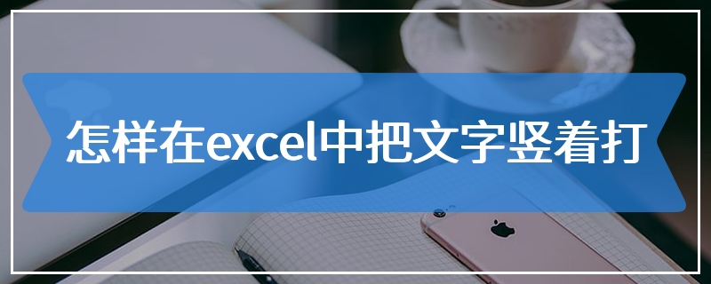 怎样在excel中把文字竖着打