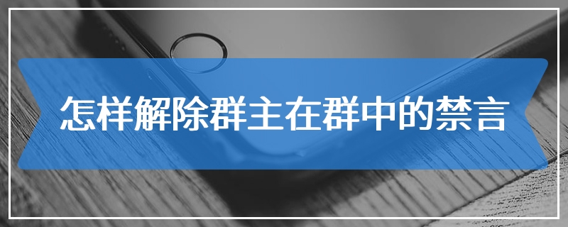 怎样解除群主在群中的禁言