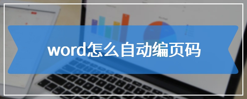 word怎么自动编页码