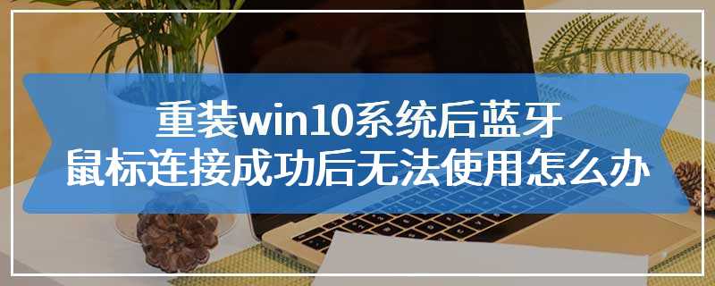 重装win10系统后蓝牙鼠标连接成功后无法使用怎么办