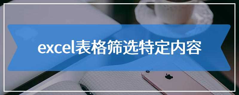 excel表格筛选特定内容