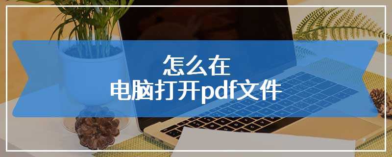 怎么在电脑打开pdf文件