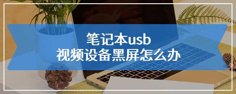 笔记本usb视频设备黑屏怎么办