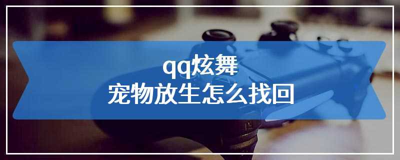 qq炫舞宠物放生怎么找回