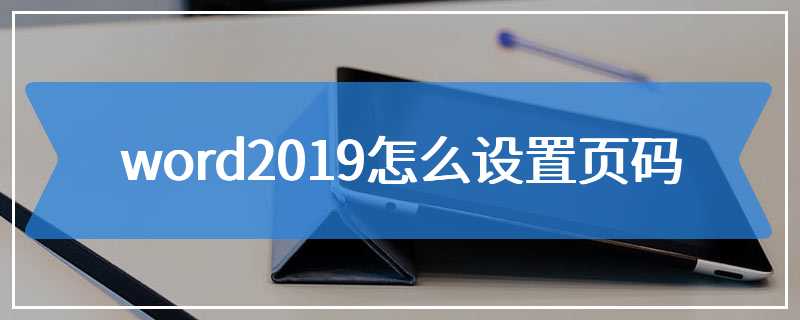 word2019怎么设置页码