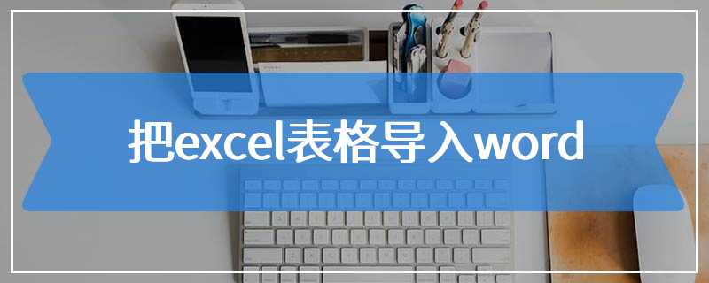 把excel表格导入word