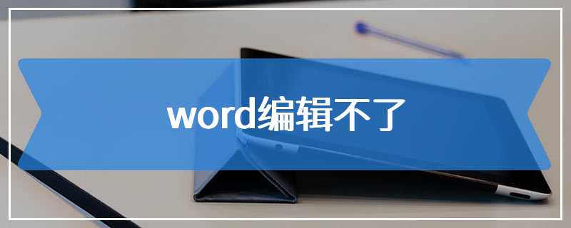 word编辑不了