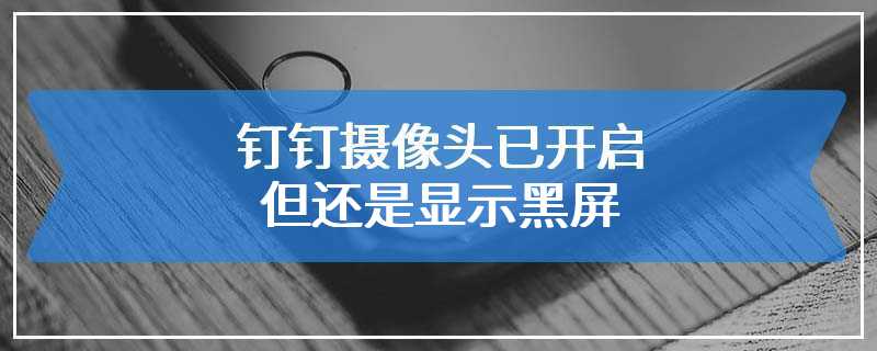 钉钉摄像头已开启但还是显示黑屏