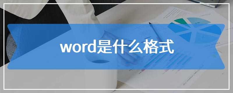 word是什么格式