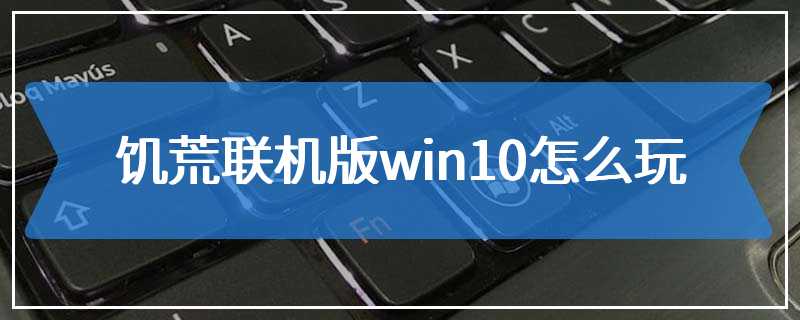 饥荒联机版win10怎么玩