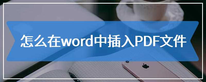 怎么在word中插入PDF文件