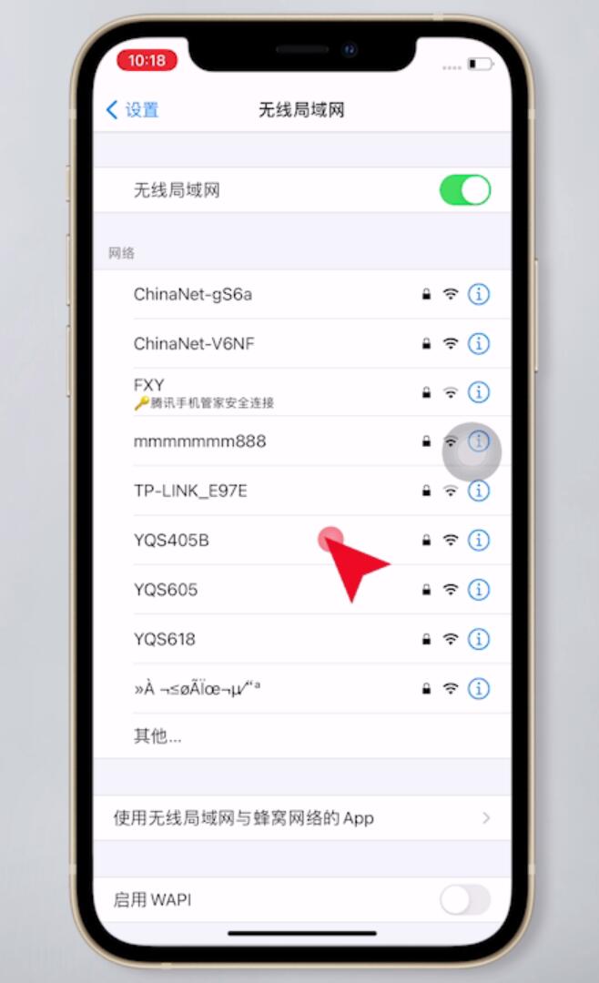 苹果手机连上wifi却上不了网怎么办(5)