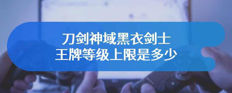 刀剑神域黑衣剑士王牌等级上限是多少