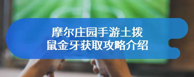 摩尔庄园手游土拨鼠金牙获取攻略介绍