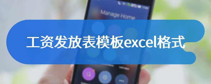 工资发放表模板excel格式