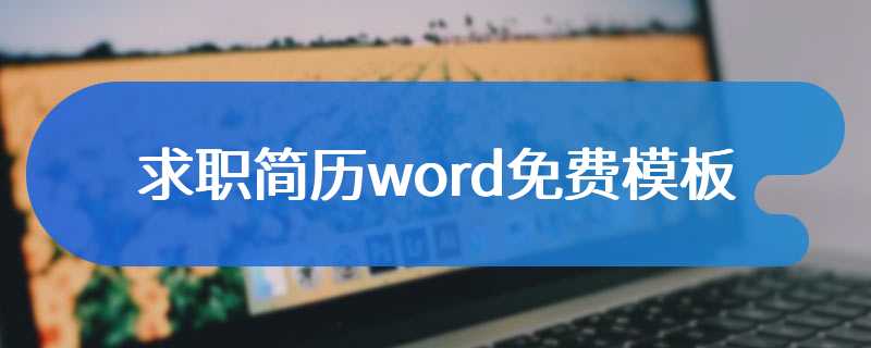 求职简历word免费模板