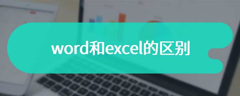 word和excel的区别